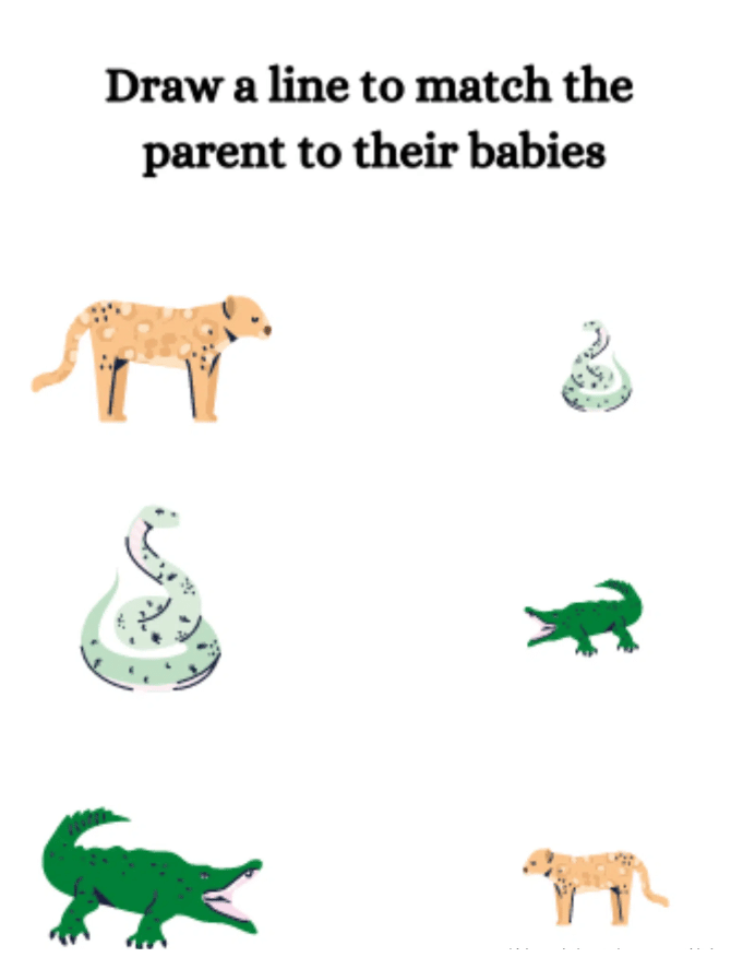 MATCH THE BABIES