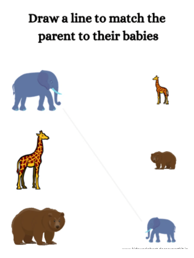 MATCH THE BABIES